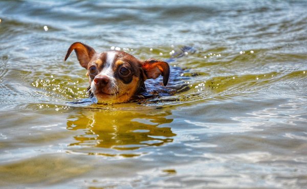 Comment créer un plan de fitness personnalisé pour les débutants ?